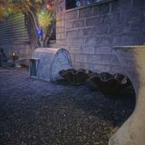 "Dog house" 🐕 XL Fibrocement 1960