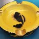 Ashtray yellow and black abstract drawing Monte-Carlo