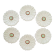 Set of 6 plates in slip "daisy"