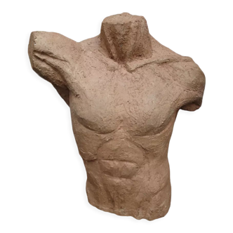 Buste d'homme a l'antique en terre cuite Sigrid H Eriks XX siècle