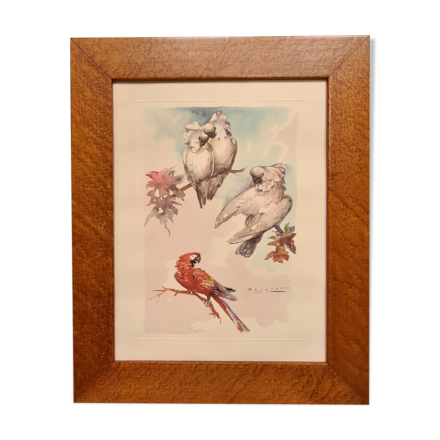 Lithograph birds signed 1996 in beautiful frame in magnifying glass 82xx50