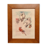 Lithograph birds signed 1996 in beautiful frame in magnifying glass 82xx50