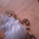 3 gold metal torchere wall lights