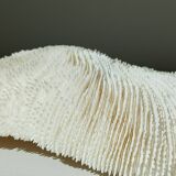 White Coral Fungia 24 cm