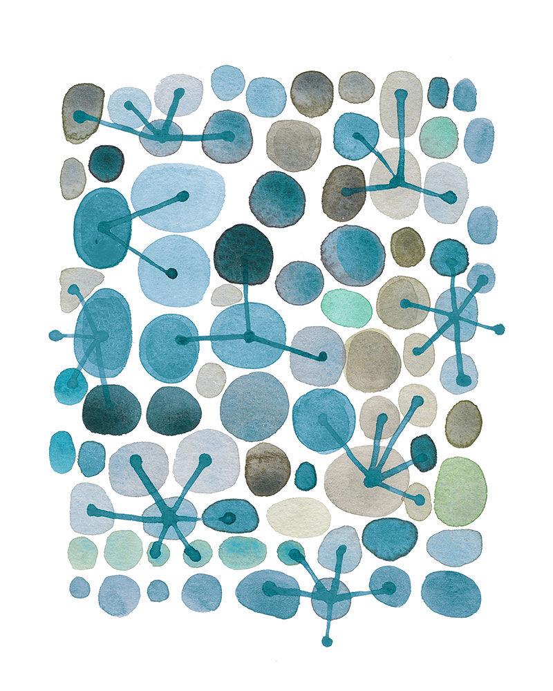 Constellation