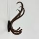 Antique Thonet bentwood wall mounted coat rack, 1930s