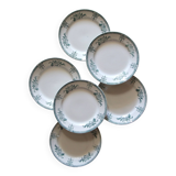 Flat plates Saint Amand