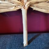 Palm fan