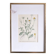 Framed botany of field chamomile
