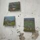 Oil painting landscape mountain 1947