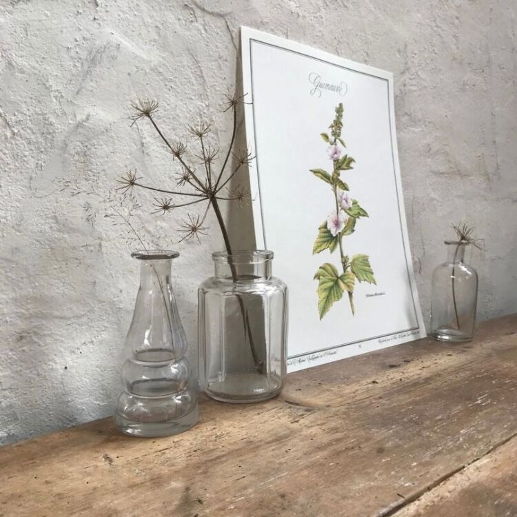 Botanical board the marshmallow