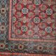 Tapis Antique Khotan d'Asie Centrale, Années 1900, Élégance Authentique