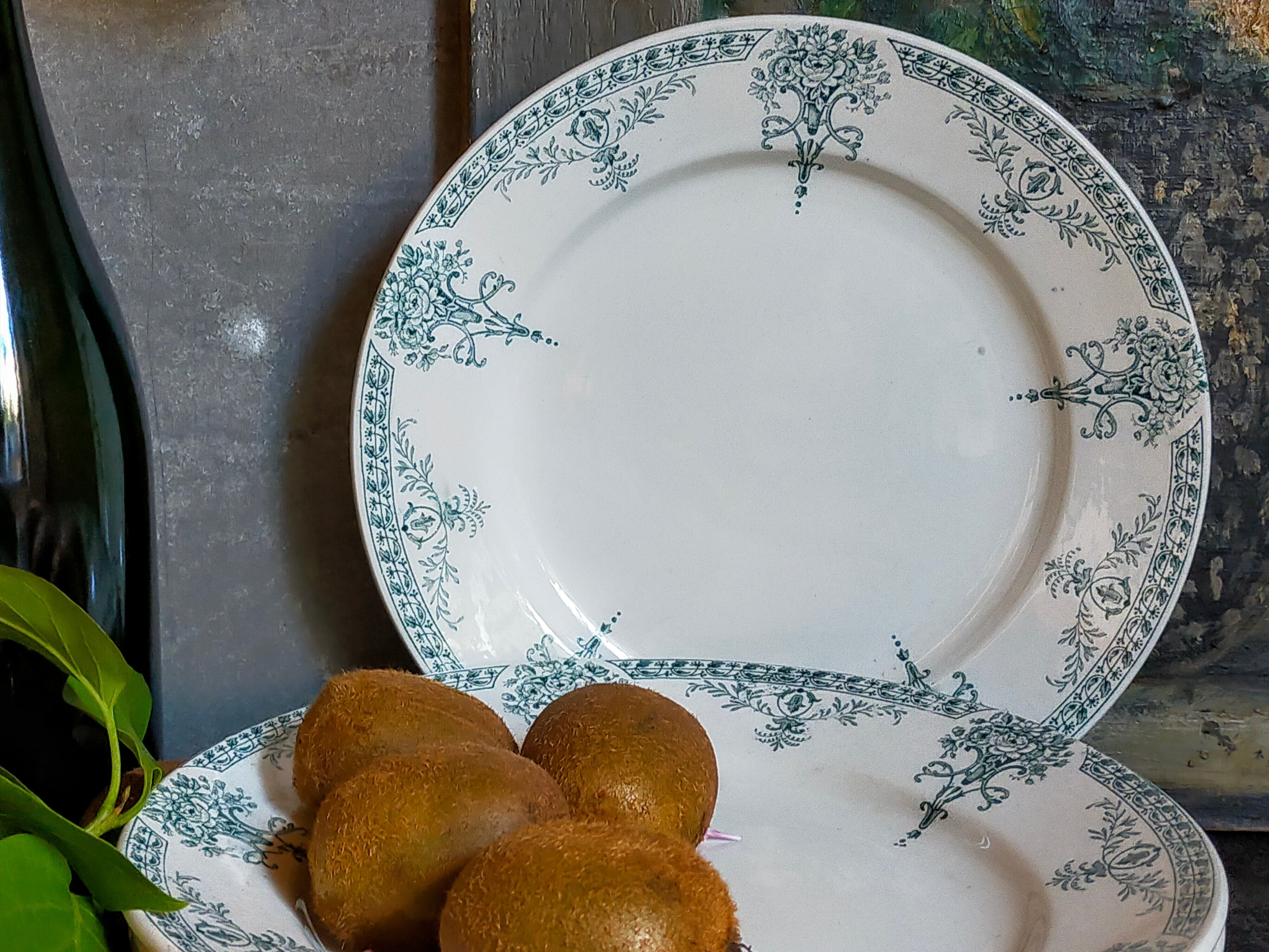 Six old plates iron earth of lunéville model lugano late nineteenth