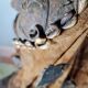 Masque, nigeria, peuple igbo