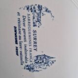Flat plate surrey sarreguemines