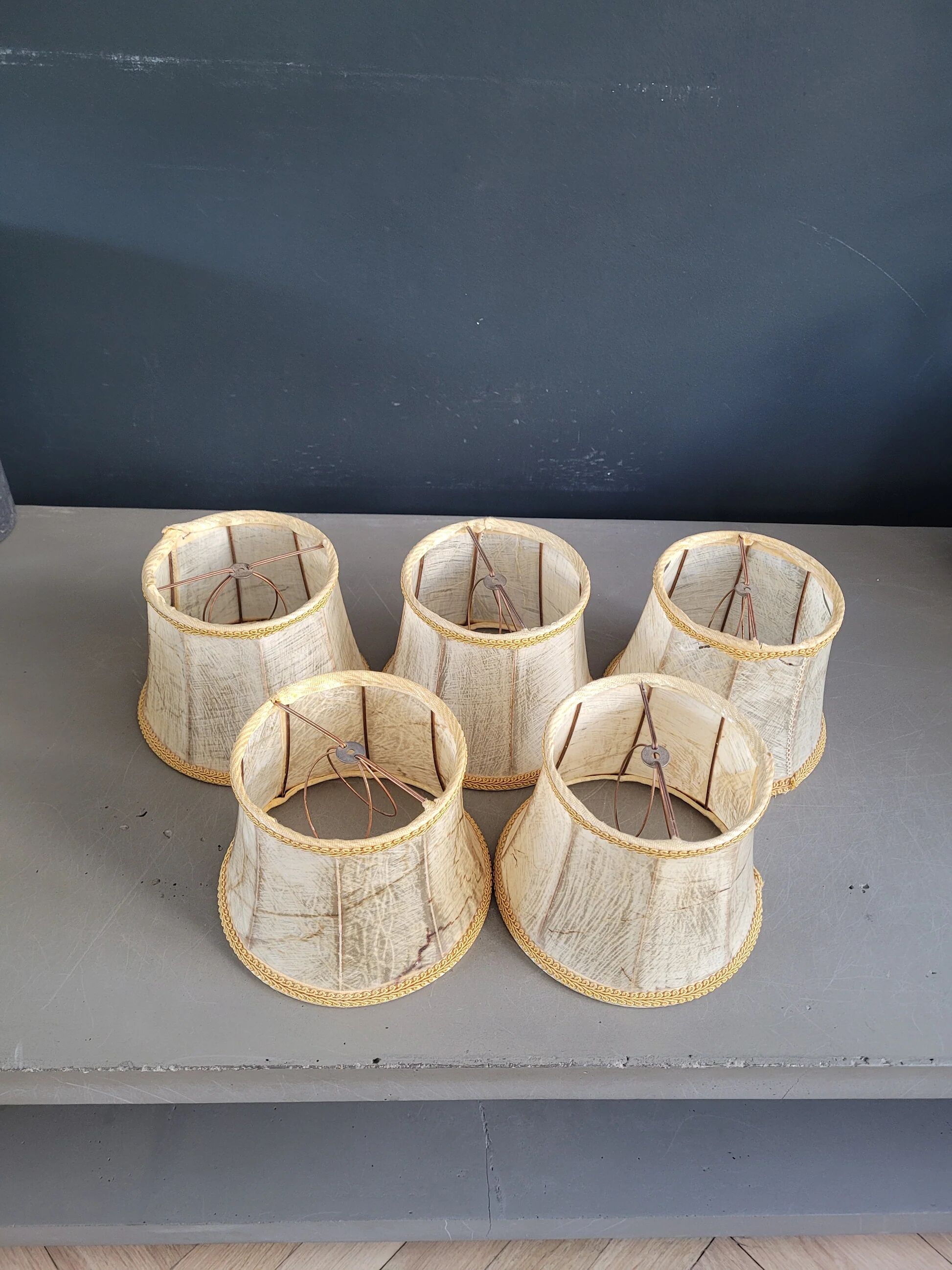 Set of 5 clip lampshades made from pig bladder.