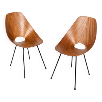 Pair of Medea chairs, Vittorio Nobili for Fratelli Tagliabue, Italy 1955