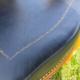 4 Louis XVI medallion chairs