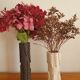 Vases en poterie