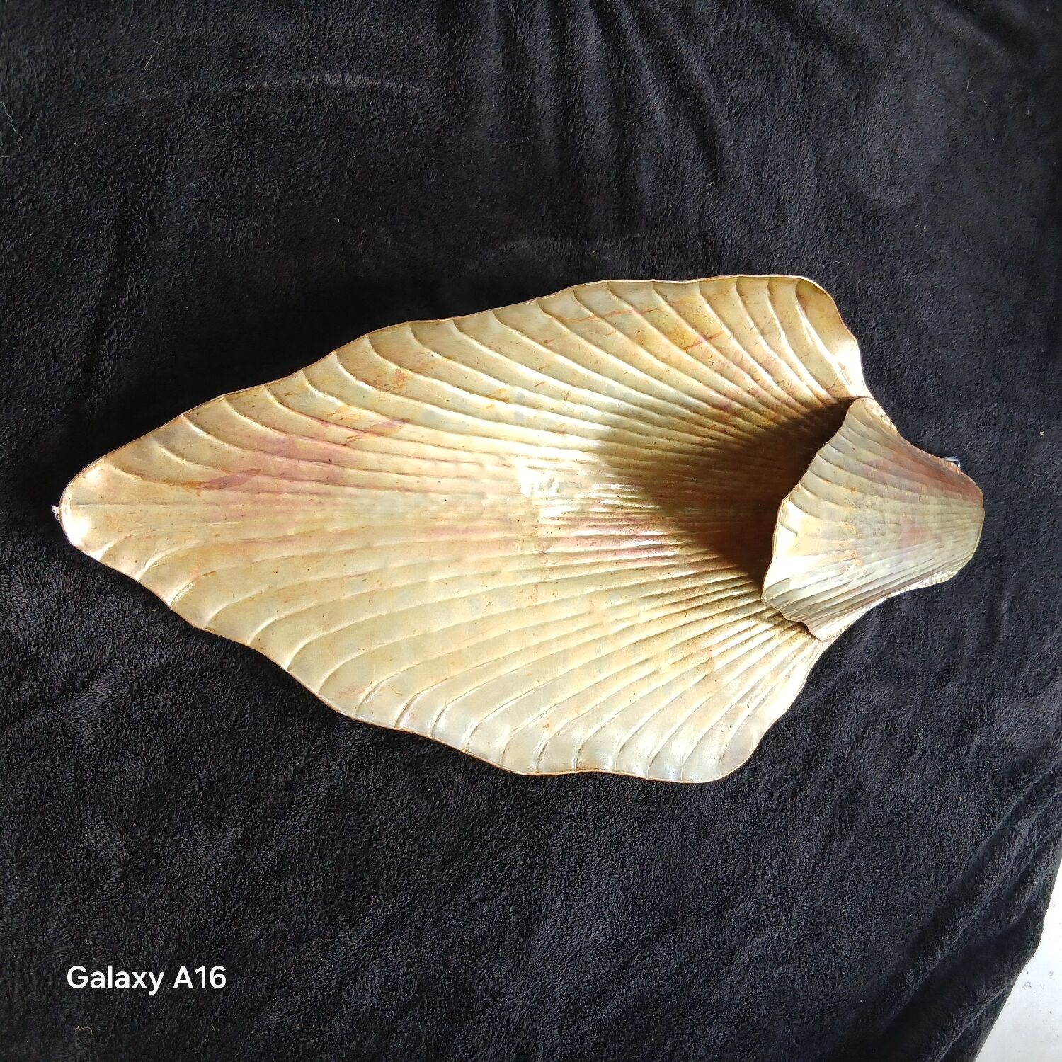Huge shell art wall light