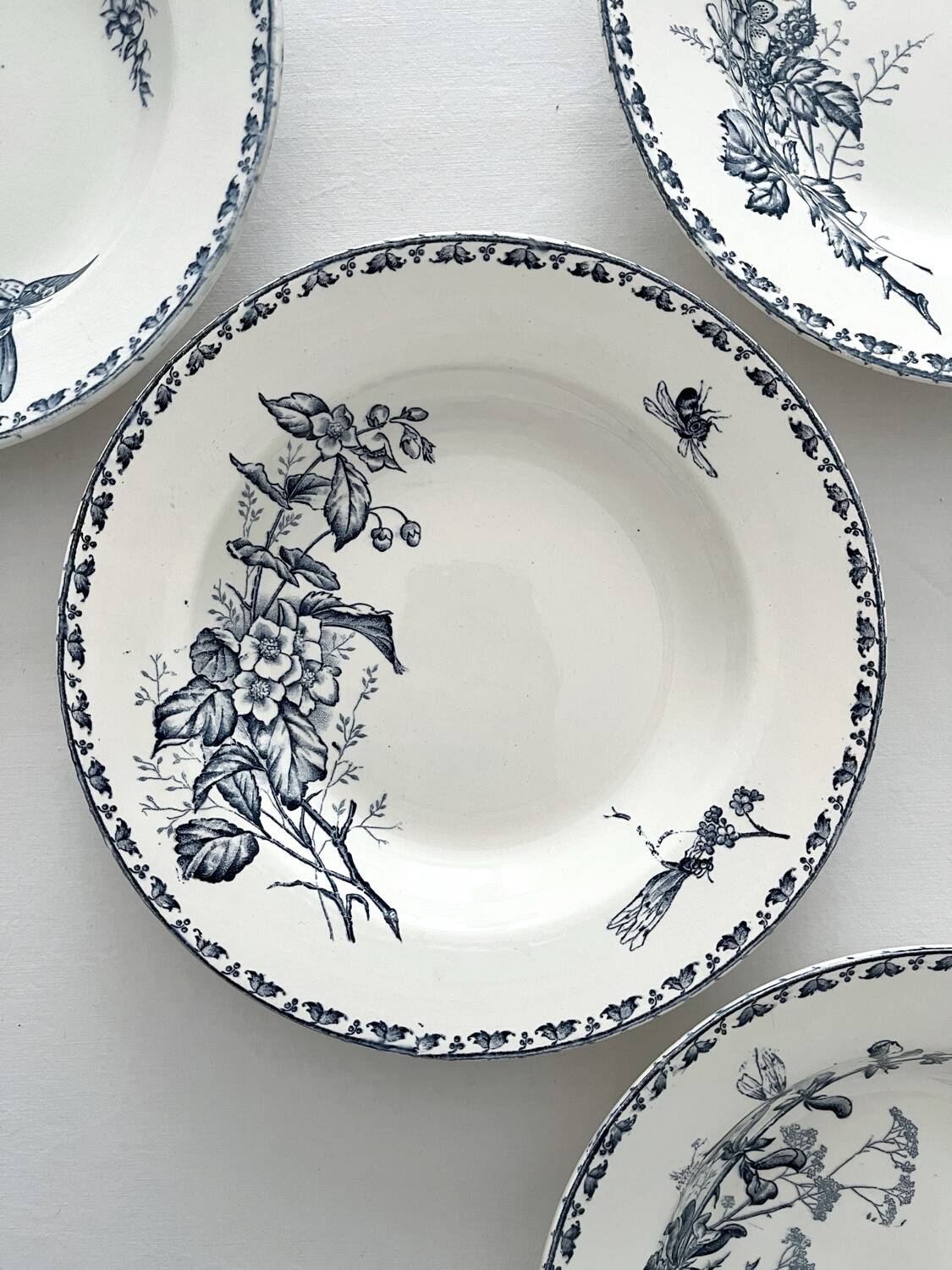 4 deep plates ironstone butterflies "Carmen" Sarreguemines
