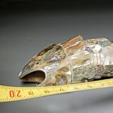 Décapsuleur ouvre-bouteille, poisson en nacre