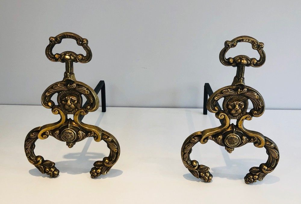 Pair of neoclassical andirons in bronze and wrought iron