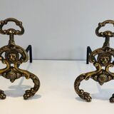 Pair of neoclassical andirons in bronze and wrought iron
