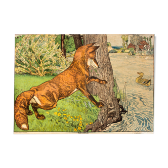 Displays of teaching Fox and duck 1910