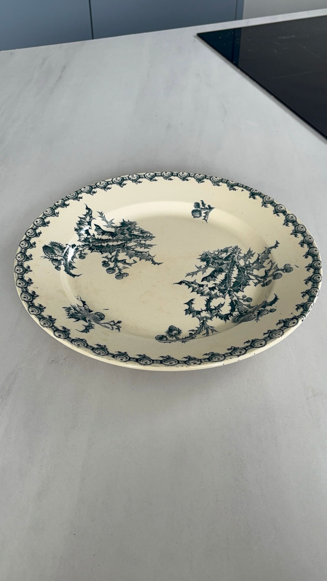 Old round ironstone plate from Gien, Chardons model - serving plate.
