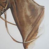 Portrait of a horse lithograph by jean rivet