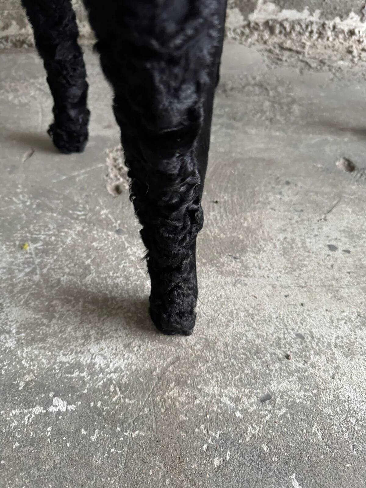 Set of 2 Black Feather-Textured Upholstered Theatrical Armchairs — Wood Frame, Dramatic Baroque Revival Style