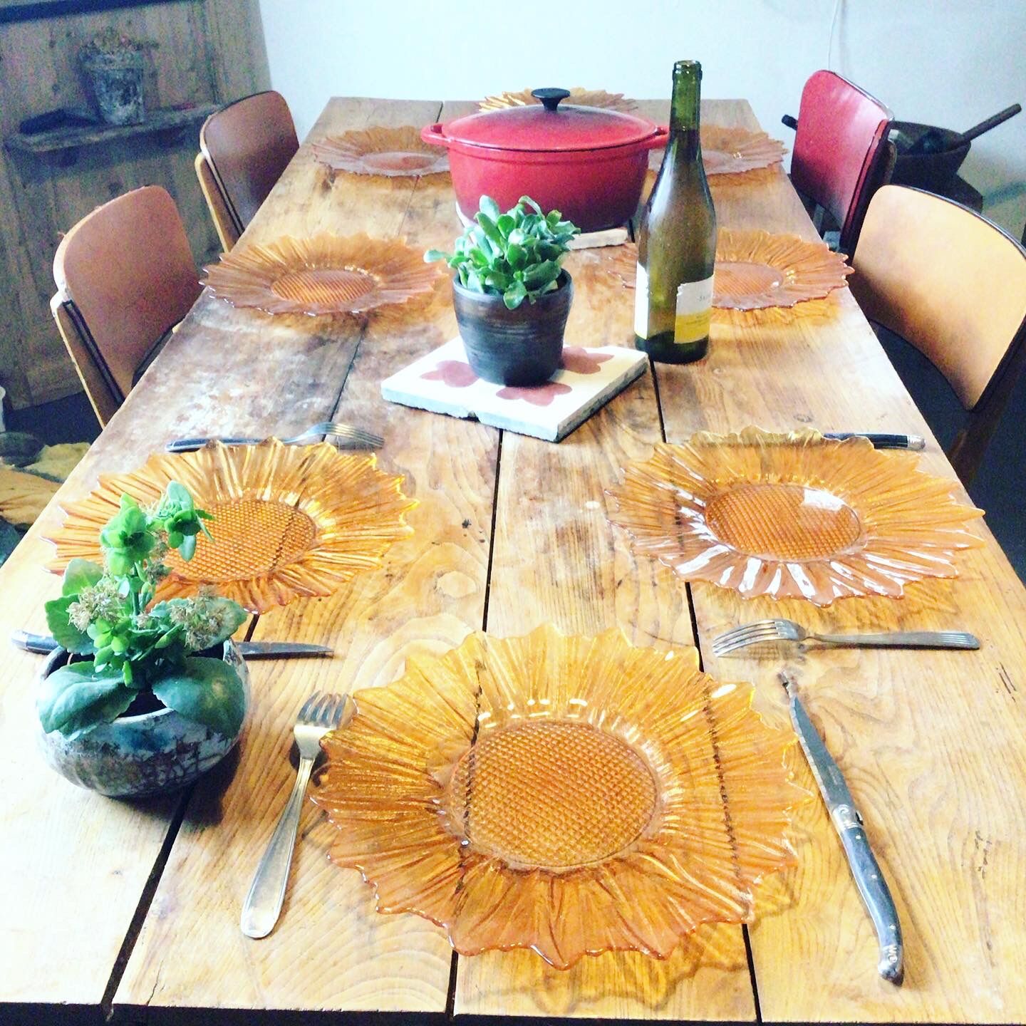 Lot of 12 sunflower plates - 1970