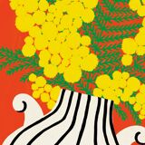 THE MIMOSA - A4 illustration