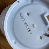 Molded glass flower wall light