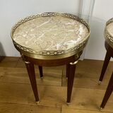 Pair of old pedestals stamped " h.j.l.rossenu " in mahogany over marble