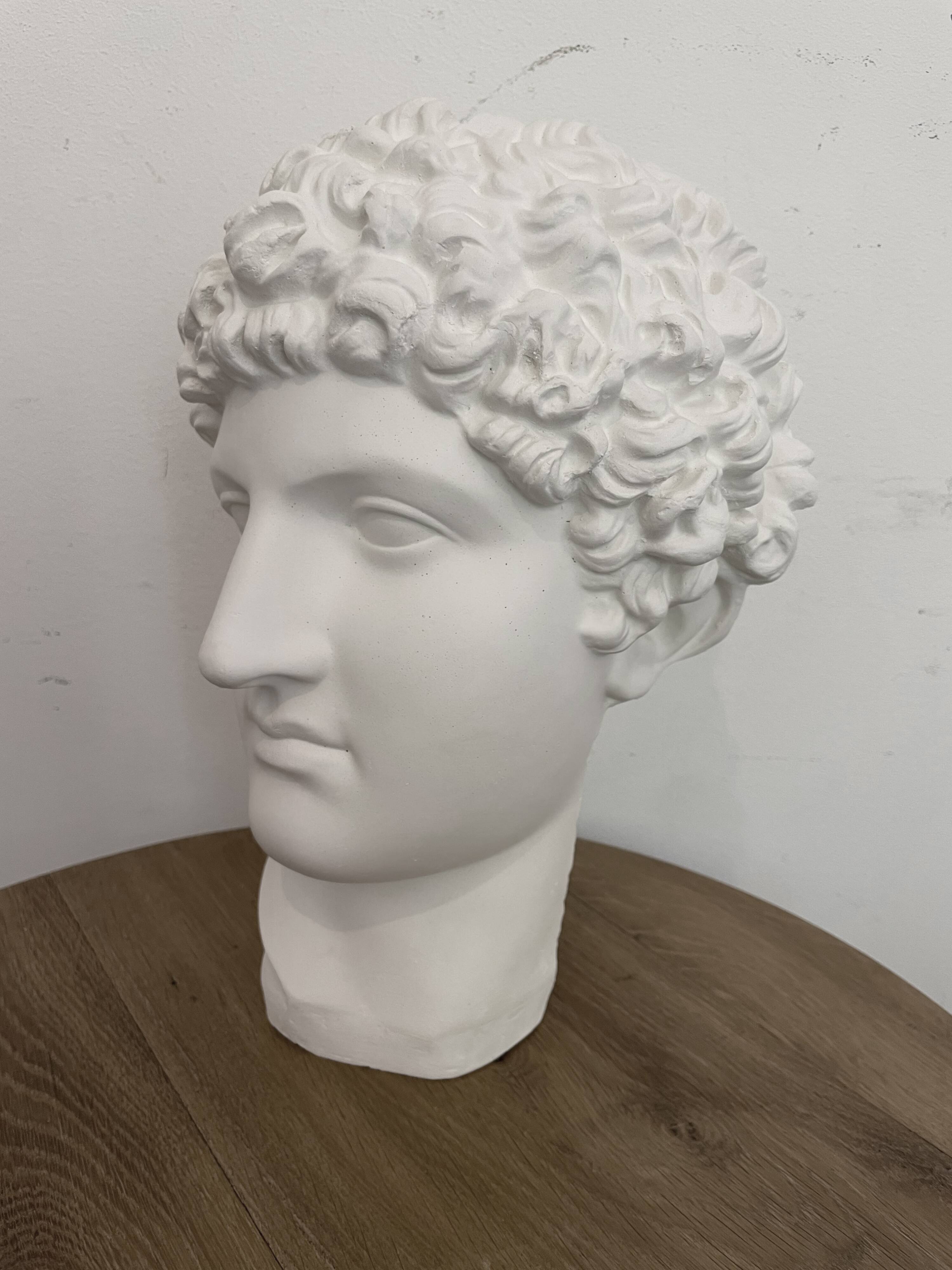 Greek head in polished white plaster