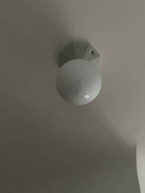 antique ceiling light