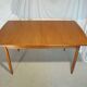Scandinavian vintage extendable rectangular table