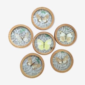 Six sous-verres papillons vintage