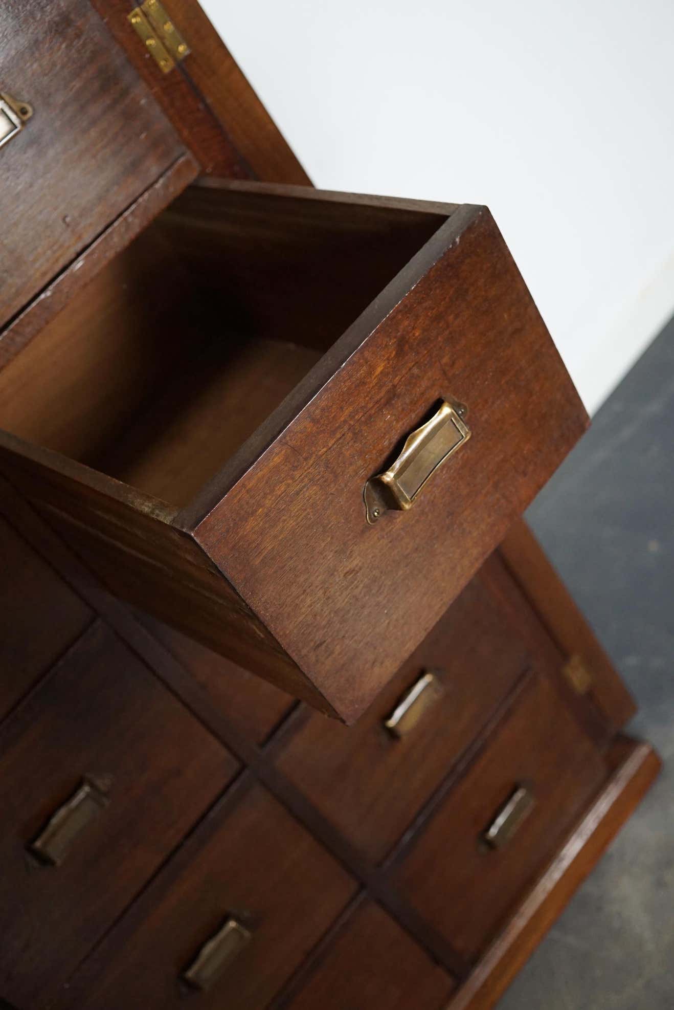 Classification cabinet mahogany drawers Netherlands 1930s