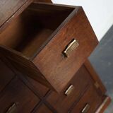 Classification cabinet mahogany drawers Netherlands 1930s