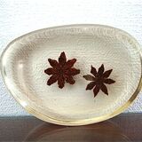 Paper press inclusion of star anise