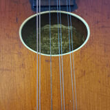 Levin high-end antique mandolin with flat bottom