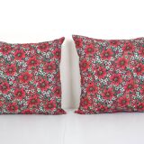 Paire de coussins
