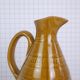 Pitcher digoin