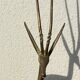 Brass Antelope Gazelle