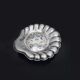 Beurrier Coquillor en forme de coquillage