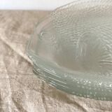 Glass fish plates