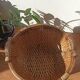 Vintage woven rattan basket - Traditional Asian wickerwork